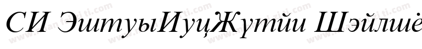 VN TimesNewRoman Italic字体转换